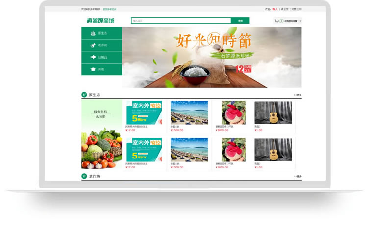 商城網(wǎng)站建設(shè)案例