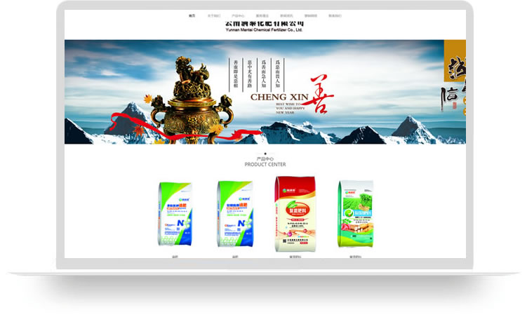 企業(yè)網(wǎng)站設(shè)計(jì)案例,手機(jī)網(wǎng)站設(shè)計(jì)案例